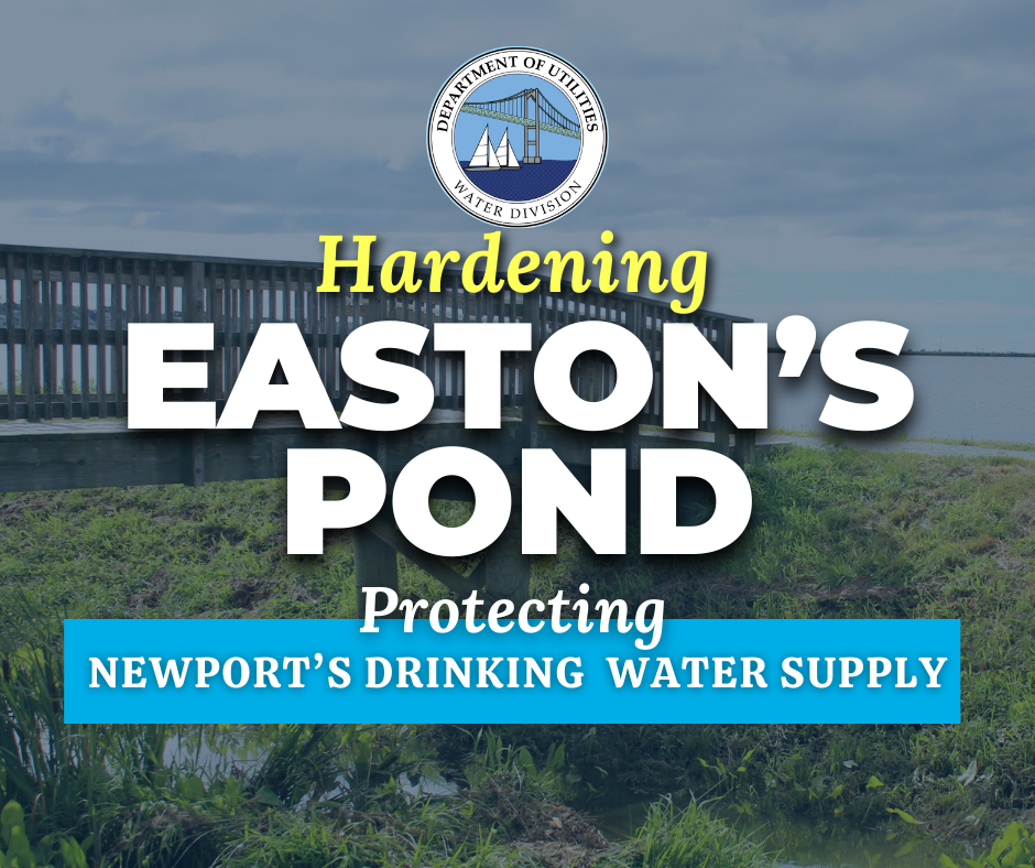 Hardening Easton's Pond: A Vision for the City